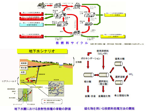 放射化学分野